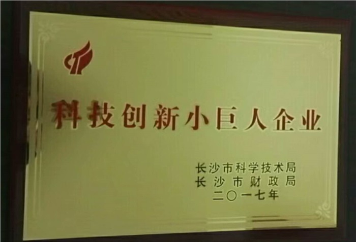 乐动（中国）官方智能荣获科技创新小巨人企业