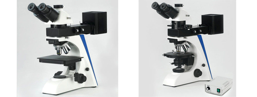 China best Inverted Biological Microscope on sales