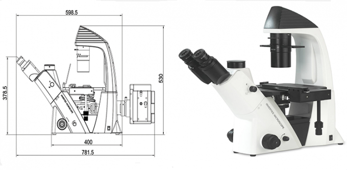 100 - 400X Biological LED Microscope Optical System Inverted Trinocular