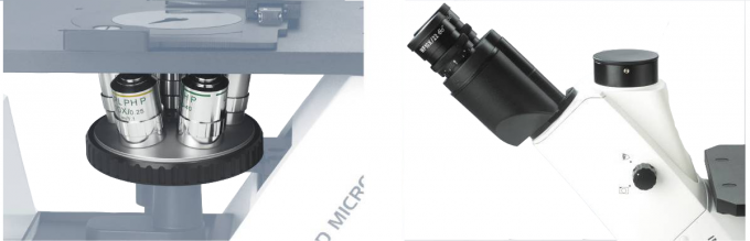 100 - 400X Biological LED Microscope Optical System Inverted Trinocular