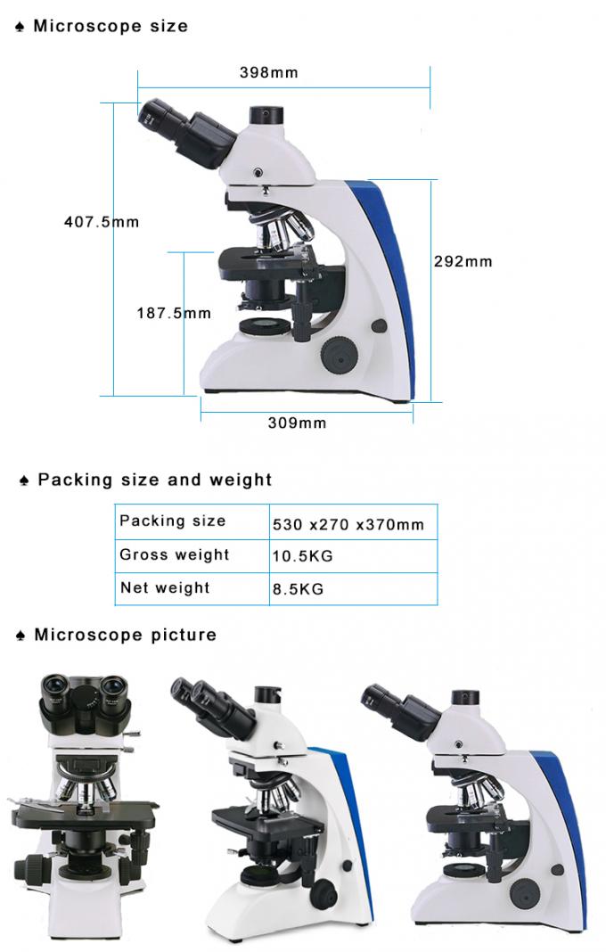 10X-20mm Eyepiece Trinocular Research Microscope , Trinocular Metallurgical Microscope