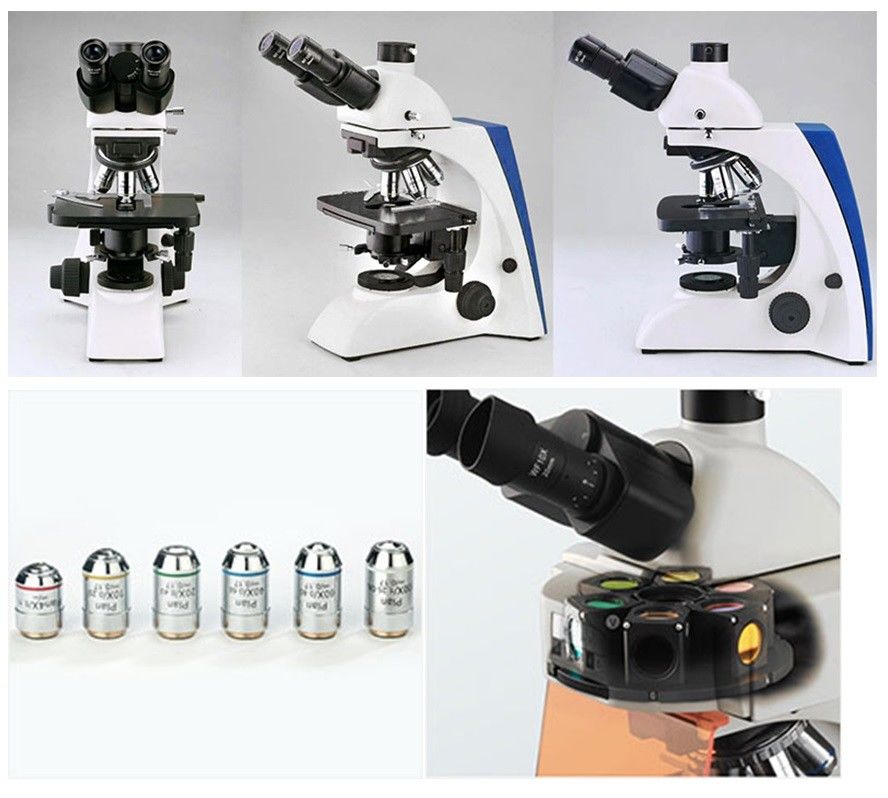 Infinity Optical Upright Fluorescence Microscope LED / Halogen Transmitting Illumination